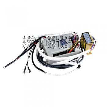燃气蒸气发生器脉冲点火器