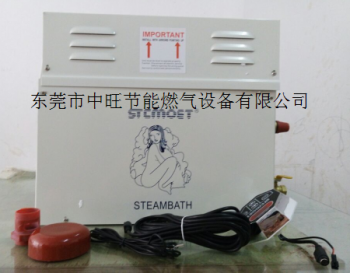 洗浴桑拿专用蒸汽发生器