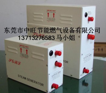 家用小型号桑拿机