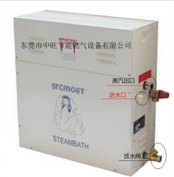 桑拿蒸汽发生器