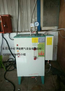 带压力电蒸汽发生器