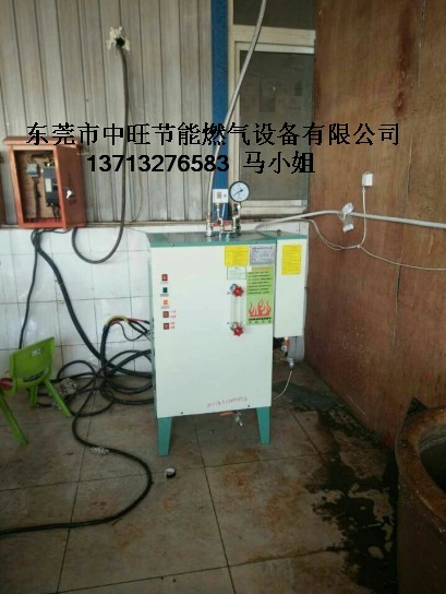 电蒸汽机5.JPG
