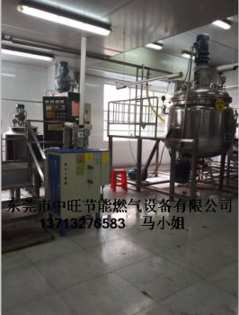 0.7MPA电蒸汽机