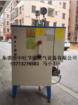 化妆品行业配套电加蒸汽发生器