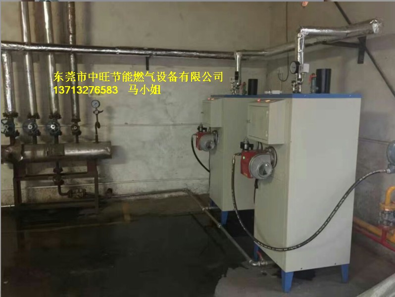 燃气蒸汽机安装.JPG