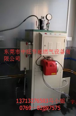 燃油蒸汽机D.JPG