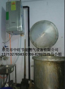 烤酒专用燃气蒸汽机