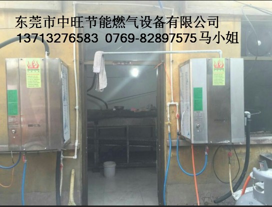 蒸汽机蒸河粉1.JPG