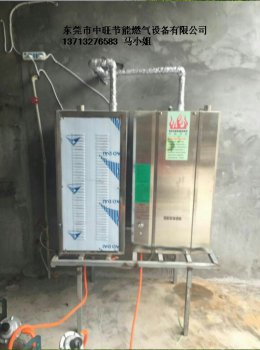 凉皮机河粉机配套燃气蒸汽发生器