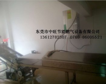 食品加工专用燃气蒸汽机
