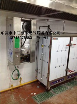小型挂式蒸汽发生器