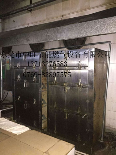 燃气蒸汽机配蒸柜2.jpg