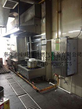 全不锈钢酒店燃气蒸汽发生器