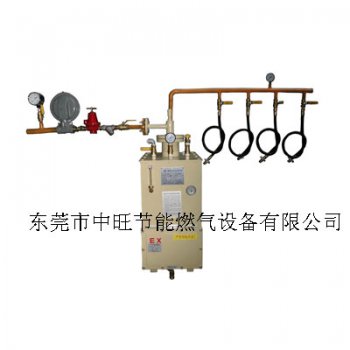 液化气强制气化炉