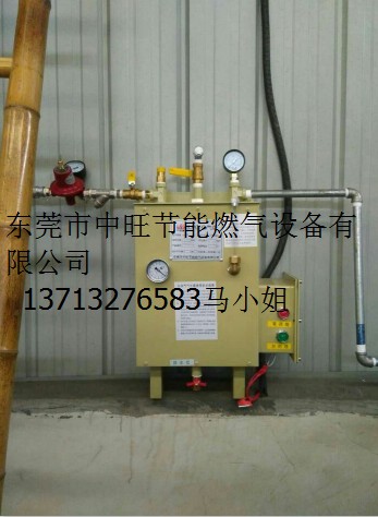 20KG壁挂式汽化器.JPG