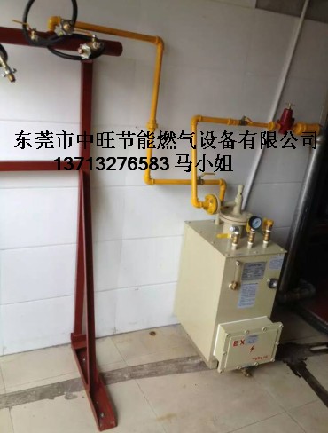 落地式汽化器.JPG