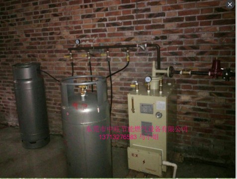 100KG落寺式汽化炉.JPG