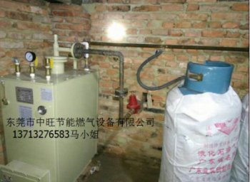 LPG煤气气化器安装