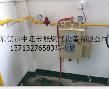 酒店专用壁挂式煤气气化器