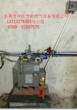 30KG汽化炉.JPG