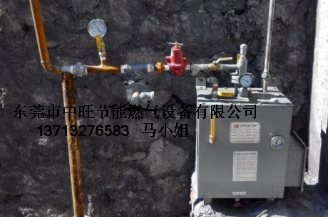 50KG壁挂式汽化器.JPG
