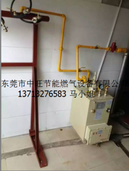 燃烧 机专用配套LPG汽化器