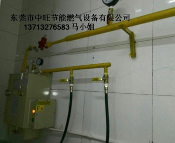 餐厅专用煤气汽化器