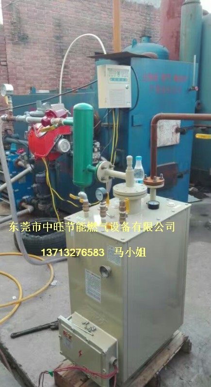 100KG汽化器.JPG