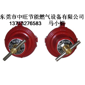 597加公司1.JPG