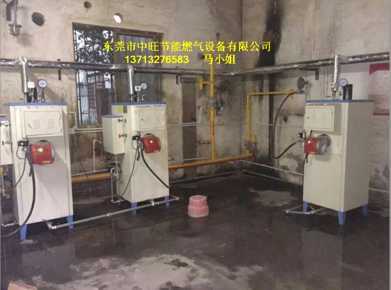 燃气蒸汽机1.JPG